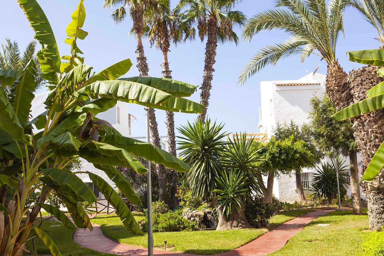 Apartamento A 100M De Playa Piscina Y Todos Los Servicios Torrox Exterior foto